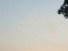 -宜兴龙背山森林公园