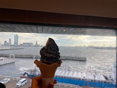 -大阪海游馆