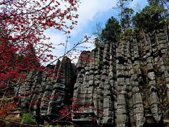 -梭布垭石林景区
