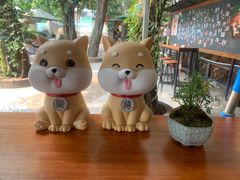 -柴犬高等学院·狗咖·柴犬售卖·宠物训练