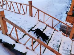 -亚布力新体委滑雪场