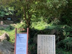 -宜兴张公洞