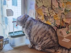-H立方实景剧情密室(天河旗舰店)