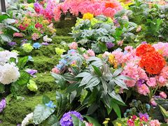 -南城十里潮汕鲜牛火锅·鲜虾生滚粥(融汇老商埠店)