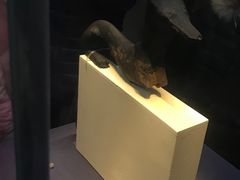 -浙江西湖美术馆