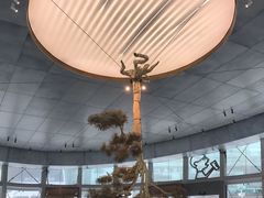 -金光华广场