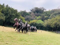 -广州雕塑公园