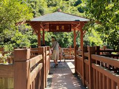 -广州白江湖森林公园