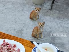 -潮陈记土鸡火锅(东厦北路店)