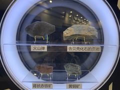 -上海儿童博物馆