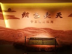 -宁夏博物馆