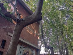 -西安电影制片厂