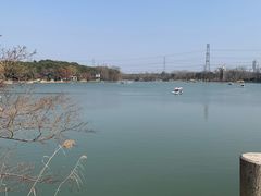 -昆山城市生态森林公园