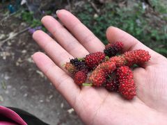 -邹记·美食(斗门店)