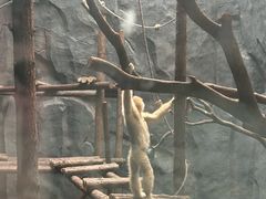 -武汉动物园