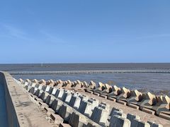 -南汇嘴观海公园