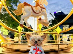 -东莞松山湖万象汇