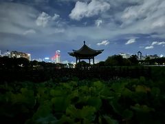-南宁南湖公园