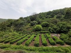 -缥缈峰景区
