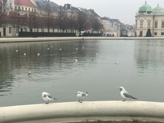 -美景宫