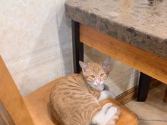 -周家大连水饺(美专校街店)