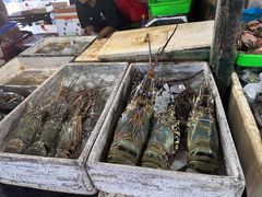 -金巴兰鱼市场
