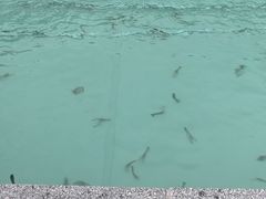 -DGE季风钓虾营地·团建·聚会