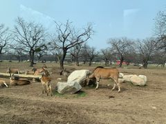 -西安秦岭野生动物园