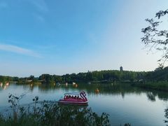 -宜兴龙背山森林公园