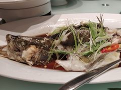-香丰阁·烤鸭·川湘菜(清河店)