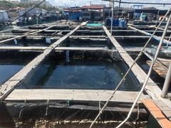 -蓝湾碧波·老字号·疍家非遗海上餐厅