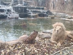 -北京野生动物园