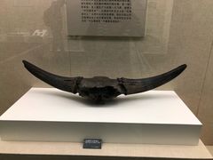 -呼伦贝尔民族博物馆