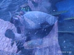 -华夏文旅海洋公园