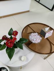 -薇兰专业脱毛连锁机构