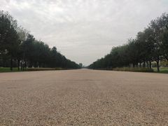 -汉长安城未央宫国家考古遗址公园