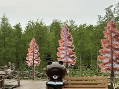 -池杉湖湿地公园