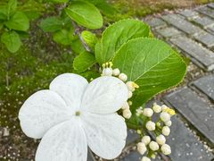 -白塘生态植物园