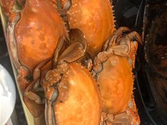 -大锅强·蒸海鲜青岛菜(吾悦广场店)