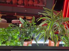 -管氏翅吧(马家堡店)