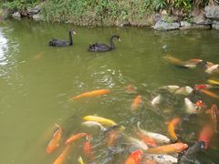 -珠海圆明新园