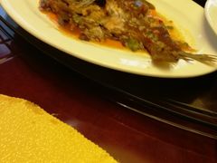 -楚灶王(徐东店)