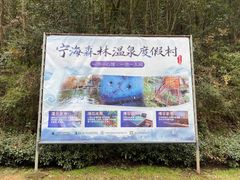 -宁海森林温泉