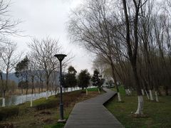 -长广溪湿地公园