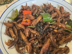 -清水湖度假村(罗浮山美食地标店)