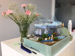 -蒂朵儿童绘画美术教室