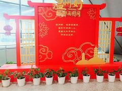 -温州龙湾国际机场