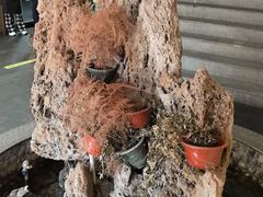 -都江堰石锅鱼
