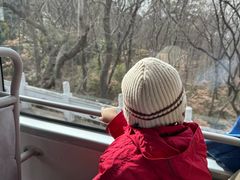 -句容茅山景区