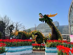 -南山植物园
